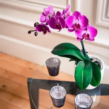 فندق مبيت وإفطار D'hotes La Chartreuse Des Eyres 3*